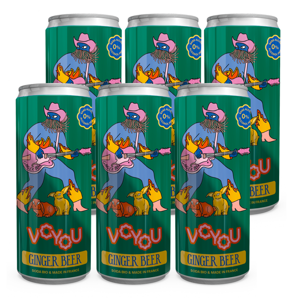 Pack Ginger Beer Voyou - 6x 25cl